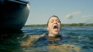 Bull Shark — foto 2
