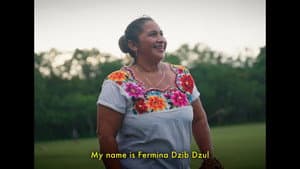 Las Autenticas y Verdaderas Amazonas de Yaxunah — foto 6