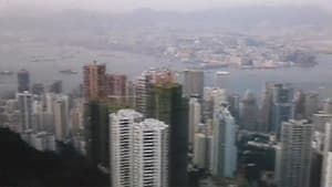 省港流鶯 — foto 1