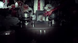 마루이 비디오 — foto 2