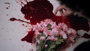 Killerwood — foto 5