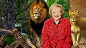 Betty White Goes Wild — foto 3