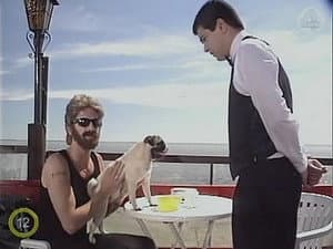 Episodio 245