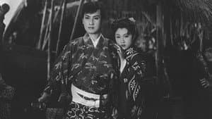 紅孔雀 — foto 1