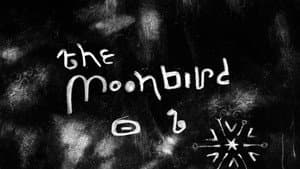 The Moon Bird — foto 1