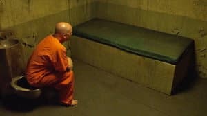 Survivor's Guide to Prison — foto 1