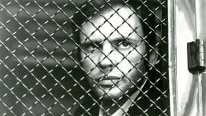 Le Voleur de crimes — foto 3