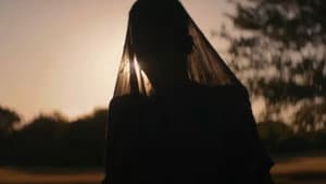 La mujer de las sombras — foto 5