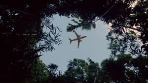 Lost — foto 11