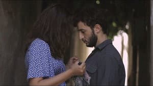 Bakı küləyi — foto 1