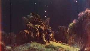 История одной странной дружбы — foto 3