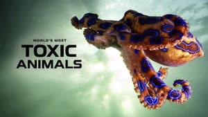 World's Most Toxic Animals — foto 2