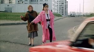 Настя — foto 3