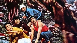 マタンゴ — foto 1