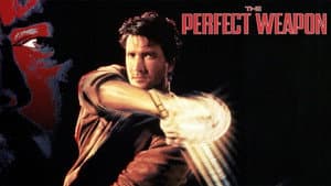 El arma perfecta — foto 4