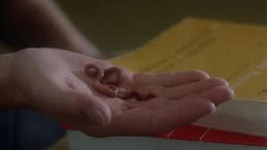 Slaughterhouse Rock — foto 11