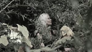 Eva degli iris — foto 2