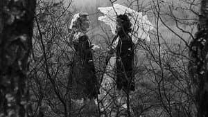 Fontane Effi Briest — foto 6