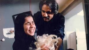 پرنده کوچک خوشبختی — foto 1
