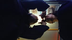 Anima — foto 7