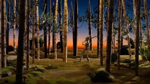 The Tin Woods — foto 1