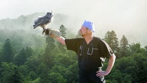 The Wild Life of Dr. Ole — foto 2