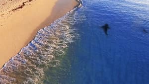 Raging Bull Shark — foto 3