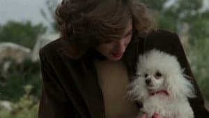 Caniche — foto 2