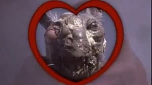 Class of Nuke 'Em High 2: Subhumanoid Meltdown — foto 5