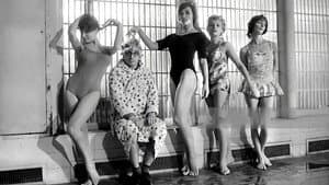 Les Bonnes Femmes — foto 5
