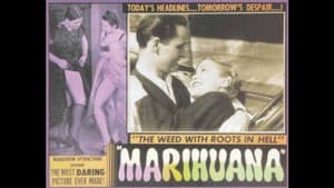 Marihuana (El monstruo verde) — foto 1
