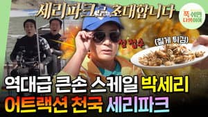 Episodio 25
