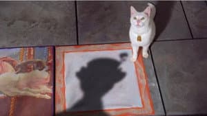 The Cat That Looked at a King — foto 2