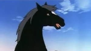 Black Beauty — foto 3