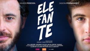 Elefante — foto 1