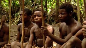 Pigmeos: la agonía del dios verde — foto 1