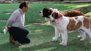 Beethoven 2 — foto 10