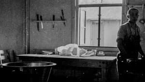 Les Résistants de Mauthausen — foto 10