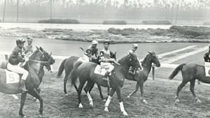 Pride of the Blue Grass — foto 1