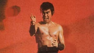 殺人拳２ — foto 8