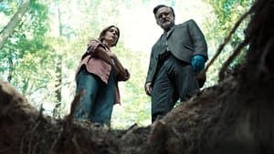 The Sinner — foto 4