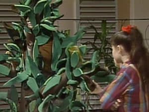 Episodio 71