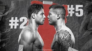 UFC Fight Night 196: Costa vs. Vettori — foto 1