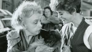 Hambone and Hillie — foto 8