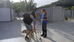 Episodio 3