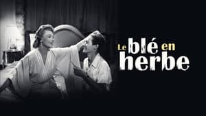Le Blé en Herbe — foto 4