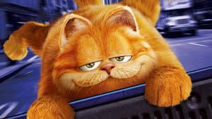 Garfield — foto 8