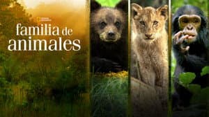 Familia de Animales — foto 7