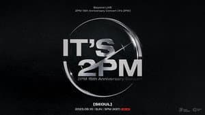2PM 15th Anniversary Concert "It's 2PM" — foto 1