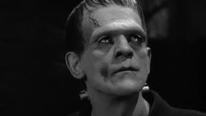 Frankenstein — foto 9